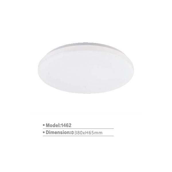 SL1462 Surface Light | LED Ceiling Lamp - RGB