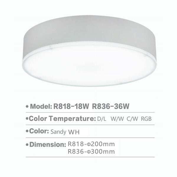 SLR836 RD Surface Light | 36W/12" Inch - RGB