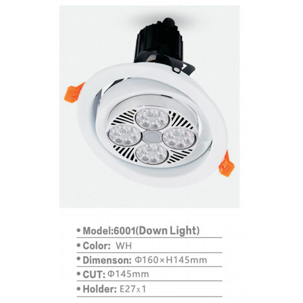 SL6001 | Track Light (Down Light)