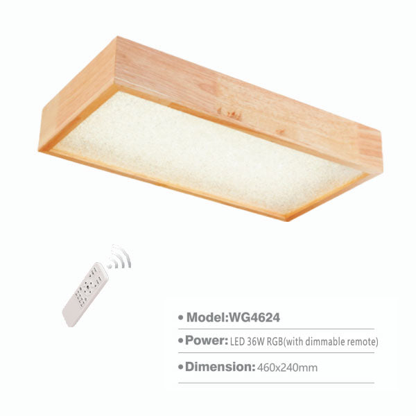 SLWG4624 Surface Light | LED Ceiling Lamp