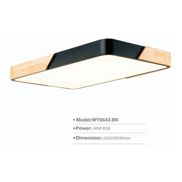 SLWY6543 Surface Light | LED Ceiling Lamp