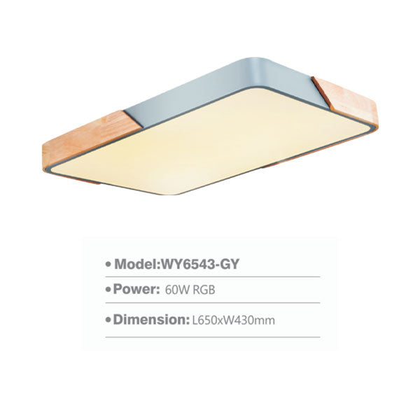 SLWY6543 Surface Light | LED Ceiling Lamp