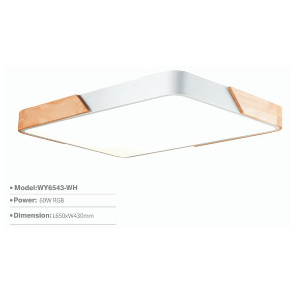 SLWY6543 Surface Light | LED Ceiling Lamp