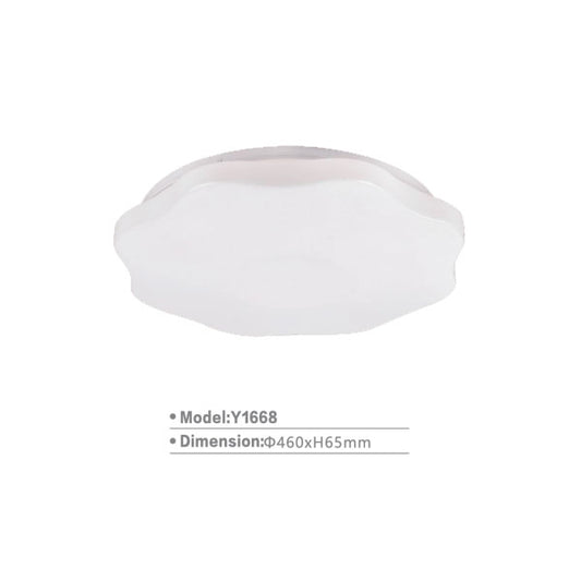 SLY1668 Surface Light| LED Ceiling Lamp - RGB
