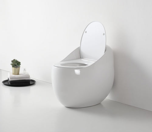Toilet bowl