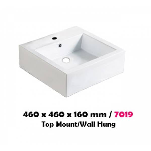 BA7019 | Basin