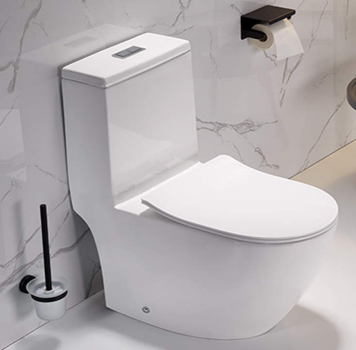 A.032T | One Piece Water Closet (WC) - Tornado Flush | VERA | ThatRenoStore