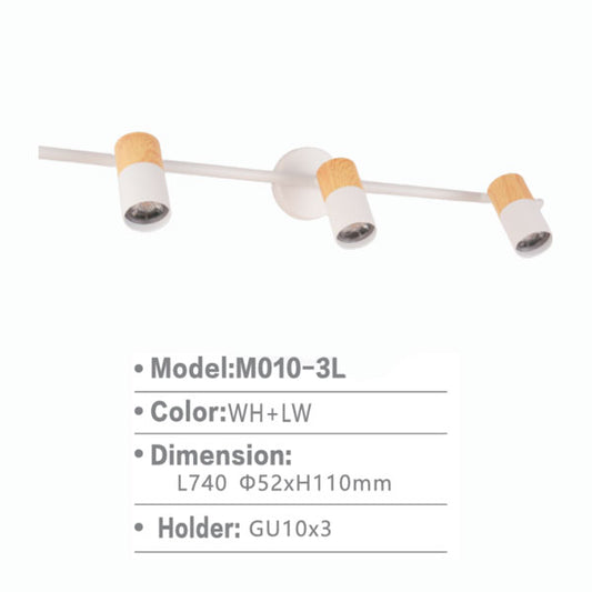 SLM010 | Spot Down Light - 3L