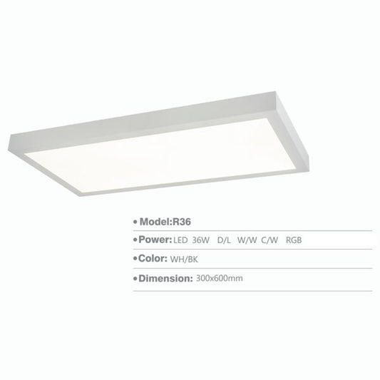 SLR36 Surface Light | 36W/24"x12" Inch