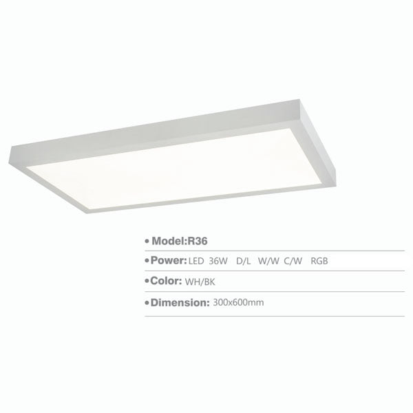 SLR36 Surface Light | 36W/24"x12" Inch - RGB