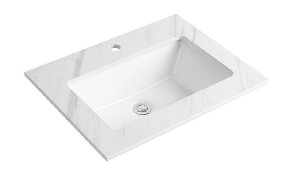 D1009601WMB | Inset Basin