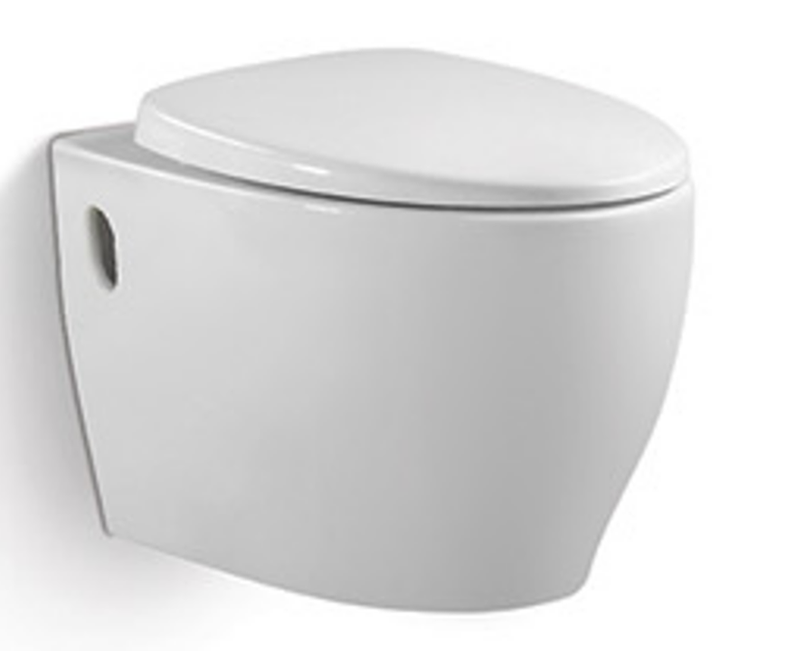 W.011 | One Piece Water Closet (WC) - Washdown Flush | VERA | ThatRenoStore