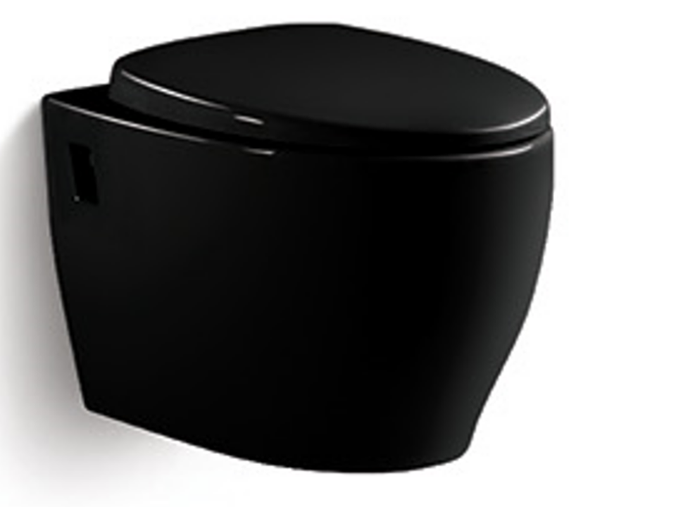 W.011GB | One Piece Water Closet (WC) - Washdown Flush | VERA | ThatRenoStore