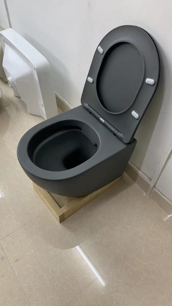 W.030MG | One Piece Water Closet (WC) - Rimless Flush | VERA | ThatRenoStore