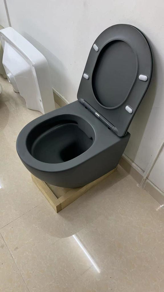 W.030MG | One Piece Water Closet (WC) - Rimless Flush | VERA | ThatRenoStore