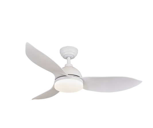 RAPTOR Ceiling Fan - ThatRenoStore