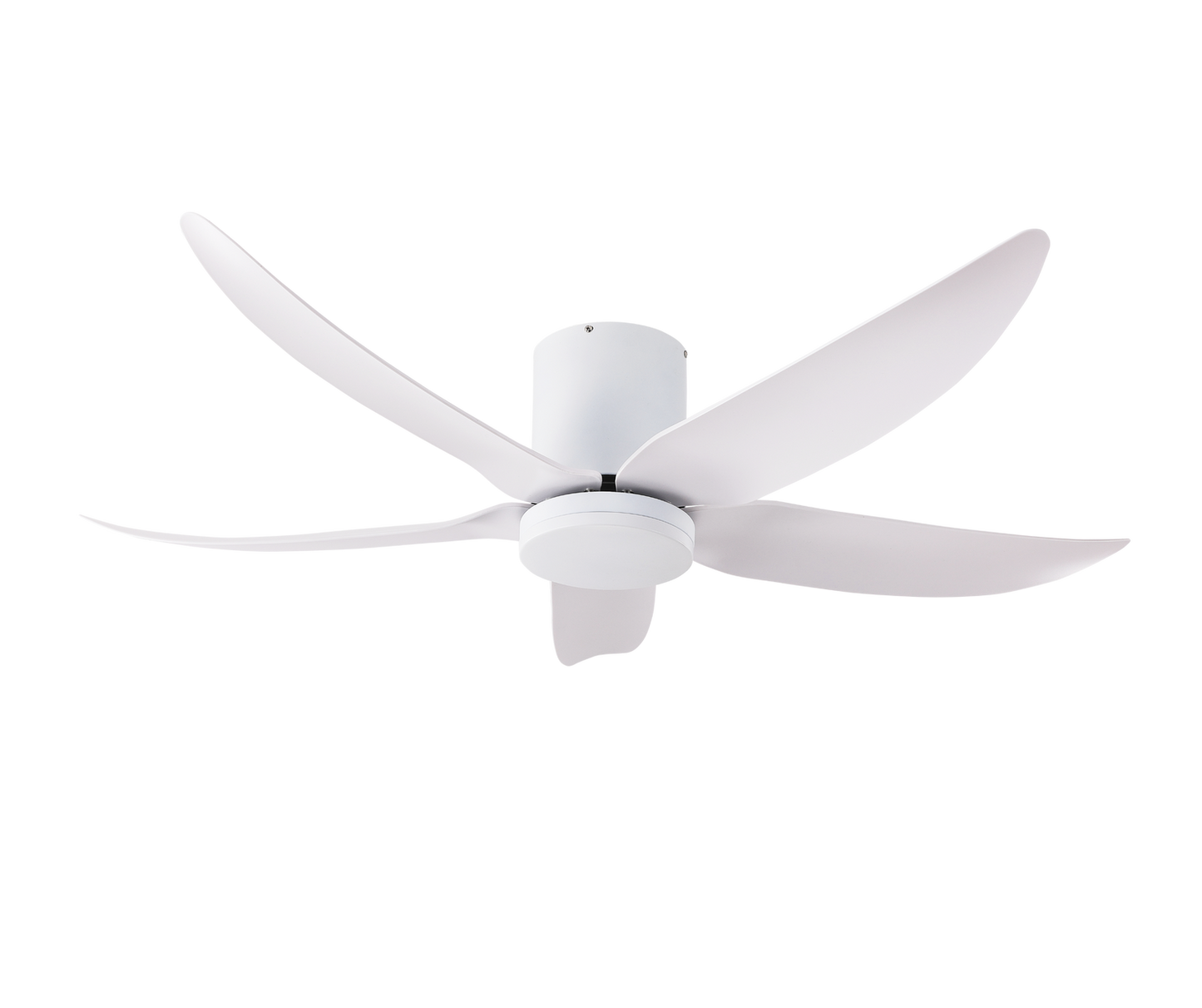 VITO-5 Ceiling Fan, view 2 - ThatRenoStore