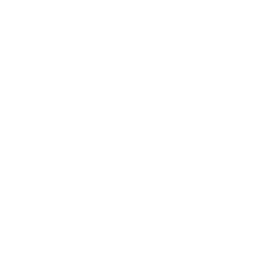 ThatRenoStore