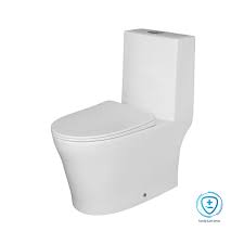 SANITON | IXIA ST2466 - ThatRenoStore