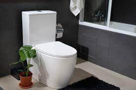 SANITON | MORAEA ST2462 - ThatRenoStore